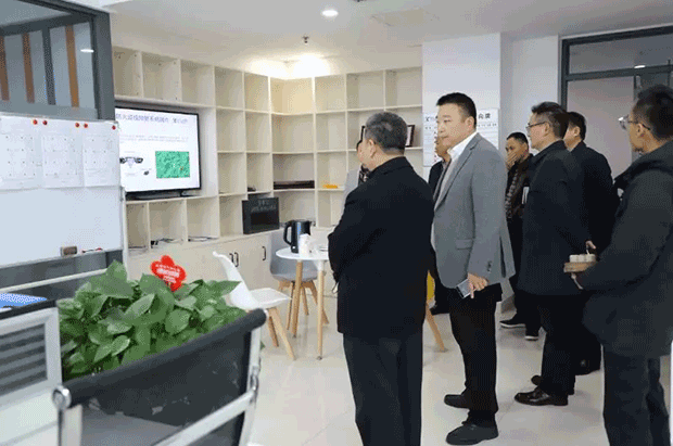 阳光服务进西米，共商共建共发展 ——长沙金霞经济开发区领导莅临西米集团指导工作 (图1)